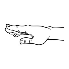 fingers sketch vector illustration