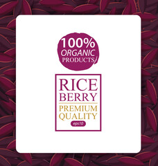 Rice berry. Vector illustration.