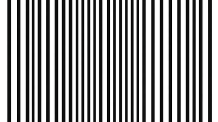 Vertical Black and White Line Pattern Illusion Abstract Geometric Design Linear Art Visual Texture