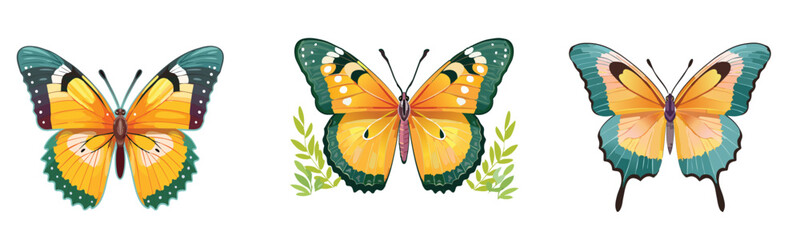 Yellow Green Butterflies set. Butterfly Illustrations
Vector illustration isolated on white background	