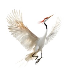 Obraz premium Elegant White Crane in Flight Wings Spread Wide