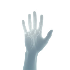 Obraz premium Elevated Hand Anatomy: A detailed, stylized image showcasing the intricate network of veins and tendons within a human hand, raised in a gesture of openness or reaching. The ethereal.