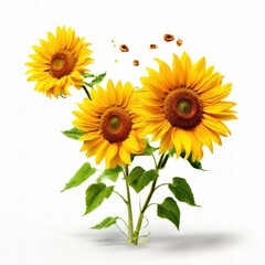 Obraz premium an AI Image Generator, Vibrant Sunflowers on a Light White