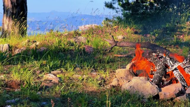 Bonfire in the Taurus Mountains in Turkey. Tongues of flame. Tazi Canyon. Relaxing by the campfire in the forest overlooking the green valley. Camping under tall pines.4K