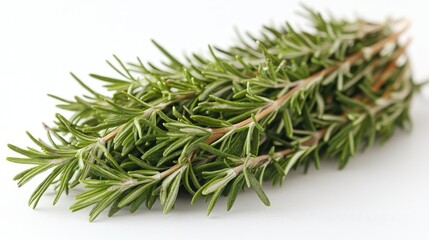 Fresh rosemary sprigs arranged elegantly on a white background, highlighting their vibrant green color