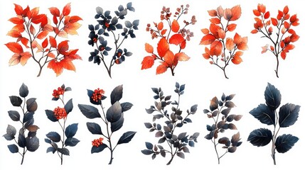 A vibrant collection of red and blue botanical illustrations showcasing various leaves and berries