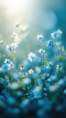 Tranquil Morning Light on Delicate Blue Flowers in Bloom