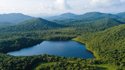 Fototapeta premium A forested watershed area acting as a natural water reservoir.