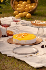 Garden Picnic Outdoor Setup Desserts Fruits and Nature