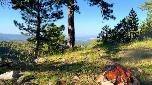 Bonfire in the Taurus Mountains in Turkey. Tongues of flame. Tazi Canyon. Relaxing by the campfire in the forest overlooking the green valley. Camping under tall pines.4K