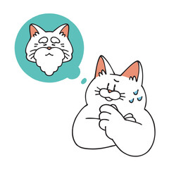 老後を心配する猫