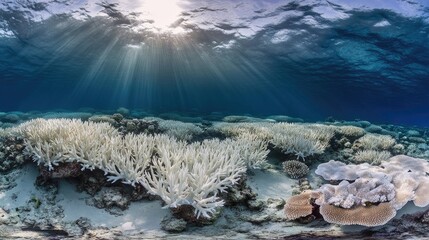 A vibrant underwater coral reef teeming with life, showing the importance of marine protected areas.