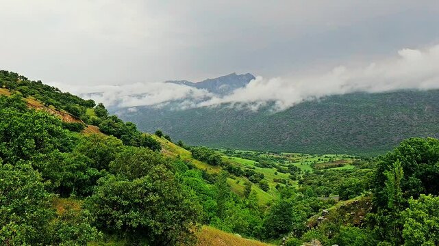 Misty mountain valley with lush greenery, capturing serene nature under a cloudy sky.
📍Marivan - Kurdistan 