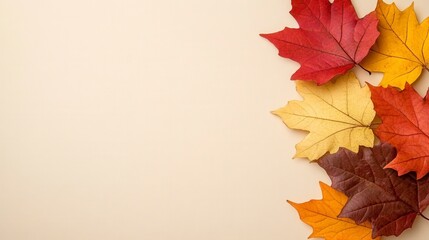 Fototapeta premium Autumn Leaves Arrangement On Cream Background
