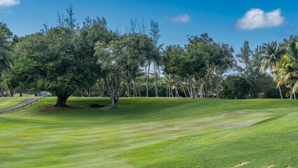 Obraz premium Golf course in a tropical park. The green grass is neatly trimmed. There is an asphalt path nearby. Sprawling trees. Blue sky, clouds. Mauritius.