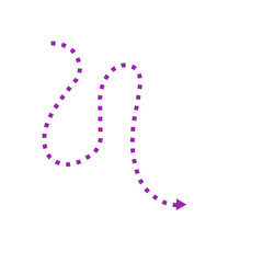 purple dotted line arrow