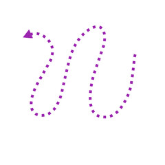purple dotted line arrow