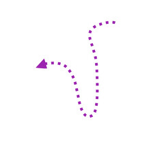 purple dotted line arrow
