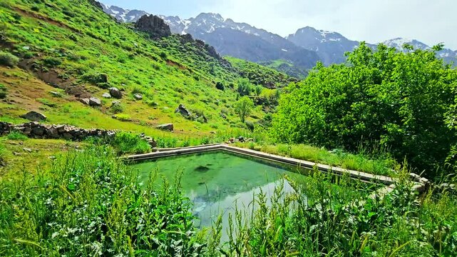 Natural spring and serene pond nestled in lush mountains, perfect for nature lovers. #ScenicBeauty
📍Shere Dareh, Hawraman Takht - Kurdistan 