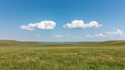 Wide Grassland Plains Under Blue Sky. Use Stock photo for nature, travel, and outdoor adventure