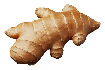 Whole Fresh Ginger Root On Transparent Background