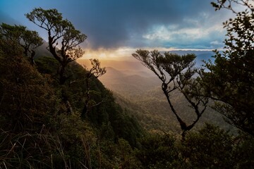 Misty mountain vista at sunrise. Dense forest canopy, dramatic light. Nature's beauty. , Lake Waikaremoana Track, Hawkes Bay, New Zealand