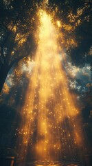 Golden Sunlight Beams Through Forest Canopy