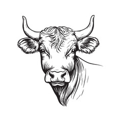 Detailed monochrome vector of a bull head, strong horns, powerful, farm animal, ideal for logos, mascots, prints, agriculture themes., farm themes. Easy editable layere, Farm animals.