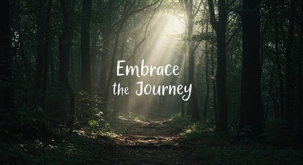 Embrace the Journey: Sunlit Forest Path - Inspirational Nature Wallpaper