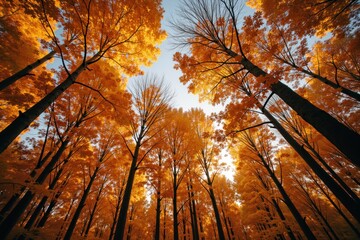 Vibrant Autumn Forest with Sunlight Filtering Through Orange Leaves