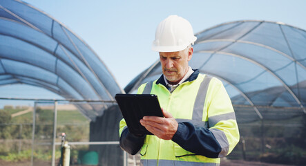 Outdoor, agriculture or businessman with tablet for engineer, project development or research. Greenhouse, construction or mature architect with digital for inspection, structural stability or scroll