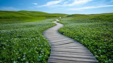 Obraz premium Wooden walkway meanders through a field of green and blue flowers