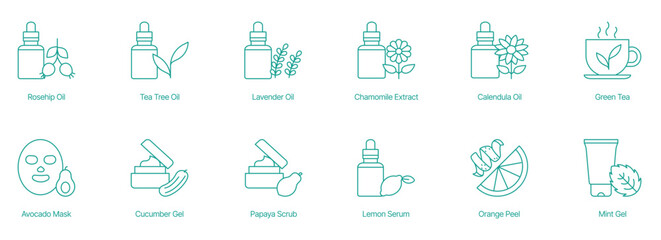 Natural Skincare and Beauty Product Assortment Vector Icon Set
