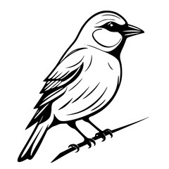 Fototapeta premium vector illustration of a bird