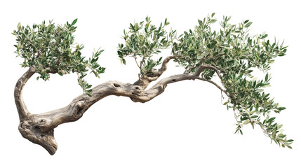 A real maple tree covered in vibrant red, orange, and yellow leaves, standing against a clear blue sky on transparent png background. Ai generated