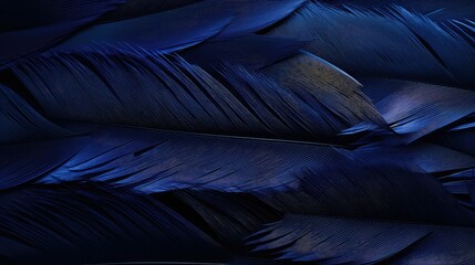 Obraz premium closeup navy blue feathers