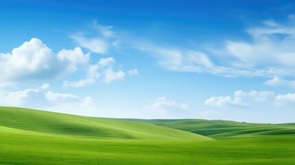 fields kelly green background