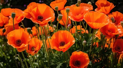 Fototapeta premium vibrant 2021 orange