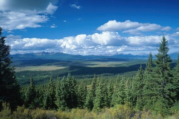 Fototapeta premium Devastating Deforestation: Aerial View of Cleared Forests for Profit