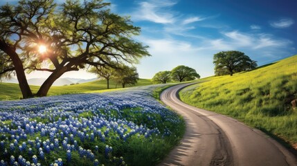 flowers blue bonnet road