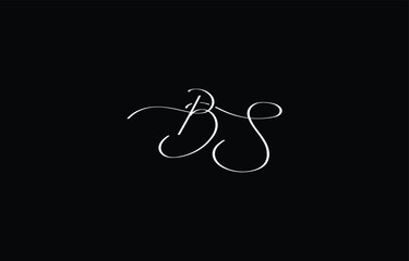 A minimal yet stylish depiction of white cursive lettering forming BS on a dark background, symbolizing elegance and simplicity.