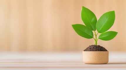 A small green plant grows in a pot, symbolizing nature, growth, and sustainability against a warm wooden background.