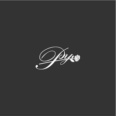 Initial PY art illustration flower design creative