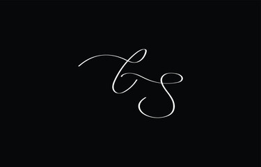 A minimal yet stylish depiction of white cursive lettering forming CS on a dark background, symbolizing elegance and simplicity.