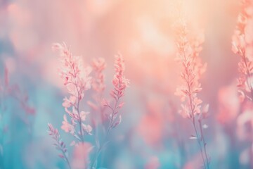 Pastel Pink and Teal Flowers in Soft Sunlight
