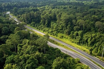 Enchanted Forest Road Through Majestic Woods - Tranquil Nature Landscape