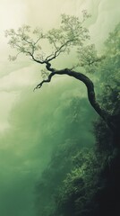 Serene emerald forest canopy with twisted branch and ethereal sky