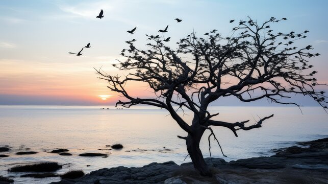 sky bird in a tree