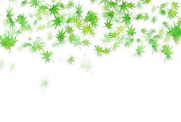 新緑　もみじ　葉　背景