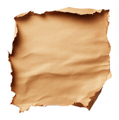 Fototapeta premium Old torn parchment paper texture with burnt edges, vintage background concept